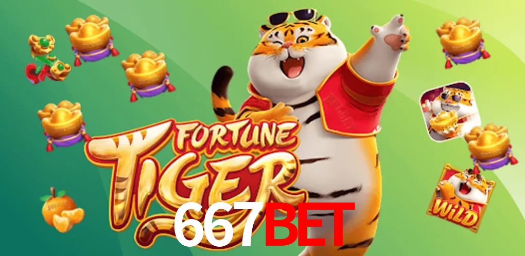 Experiência VIP 667BET
